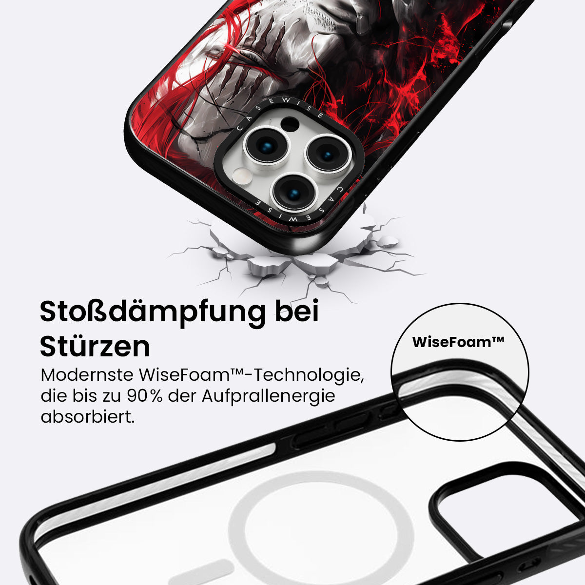 Shanks - Hülle