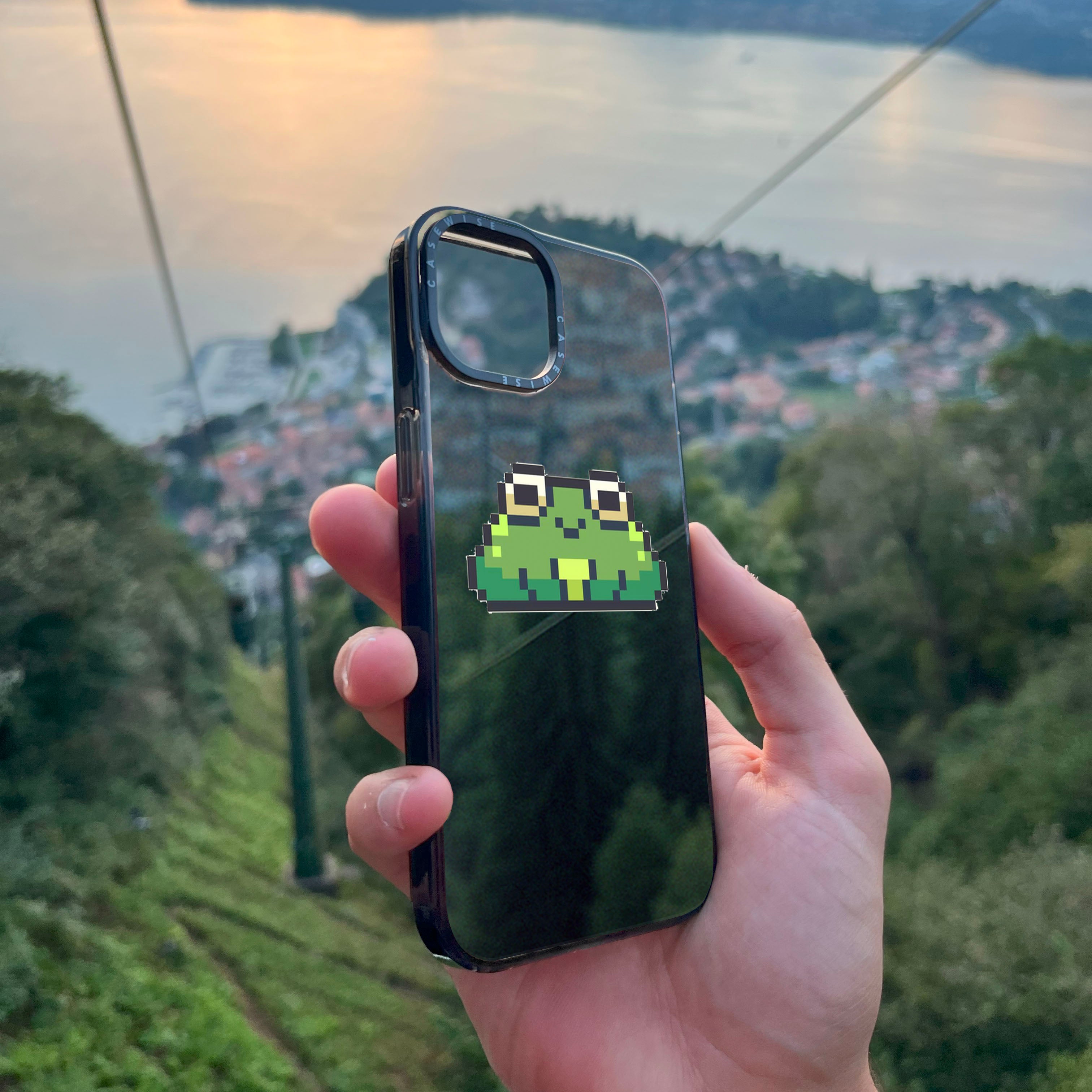 Pixelfrosch - Hülle