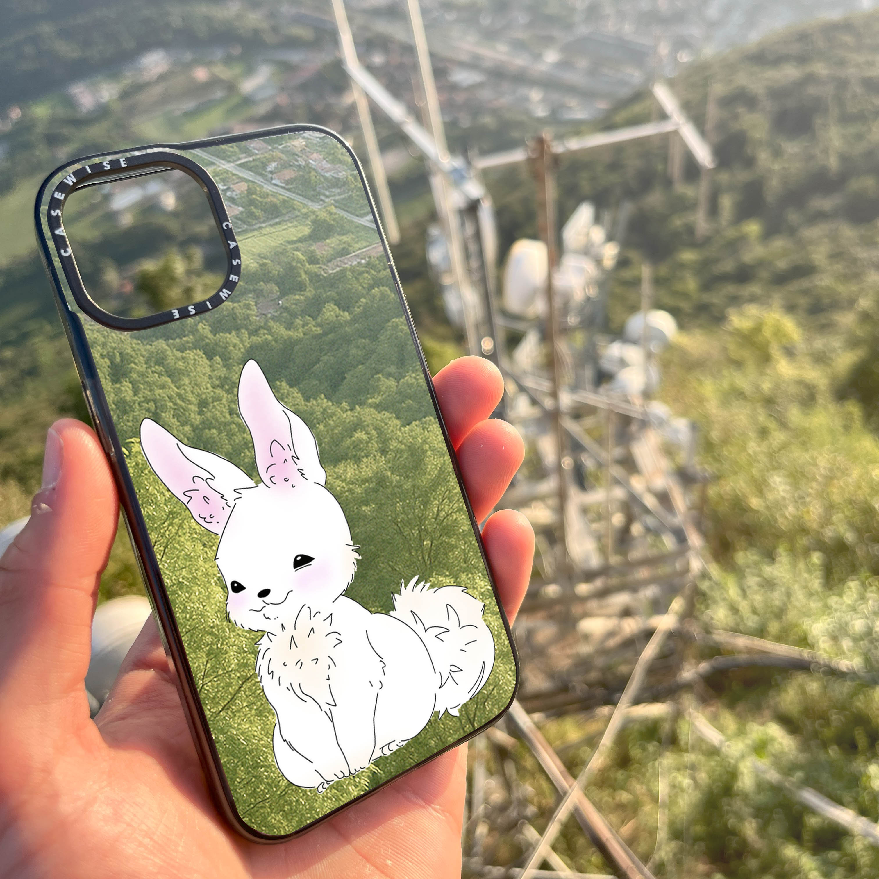 Hase - Hülle