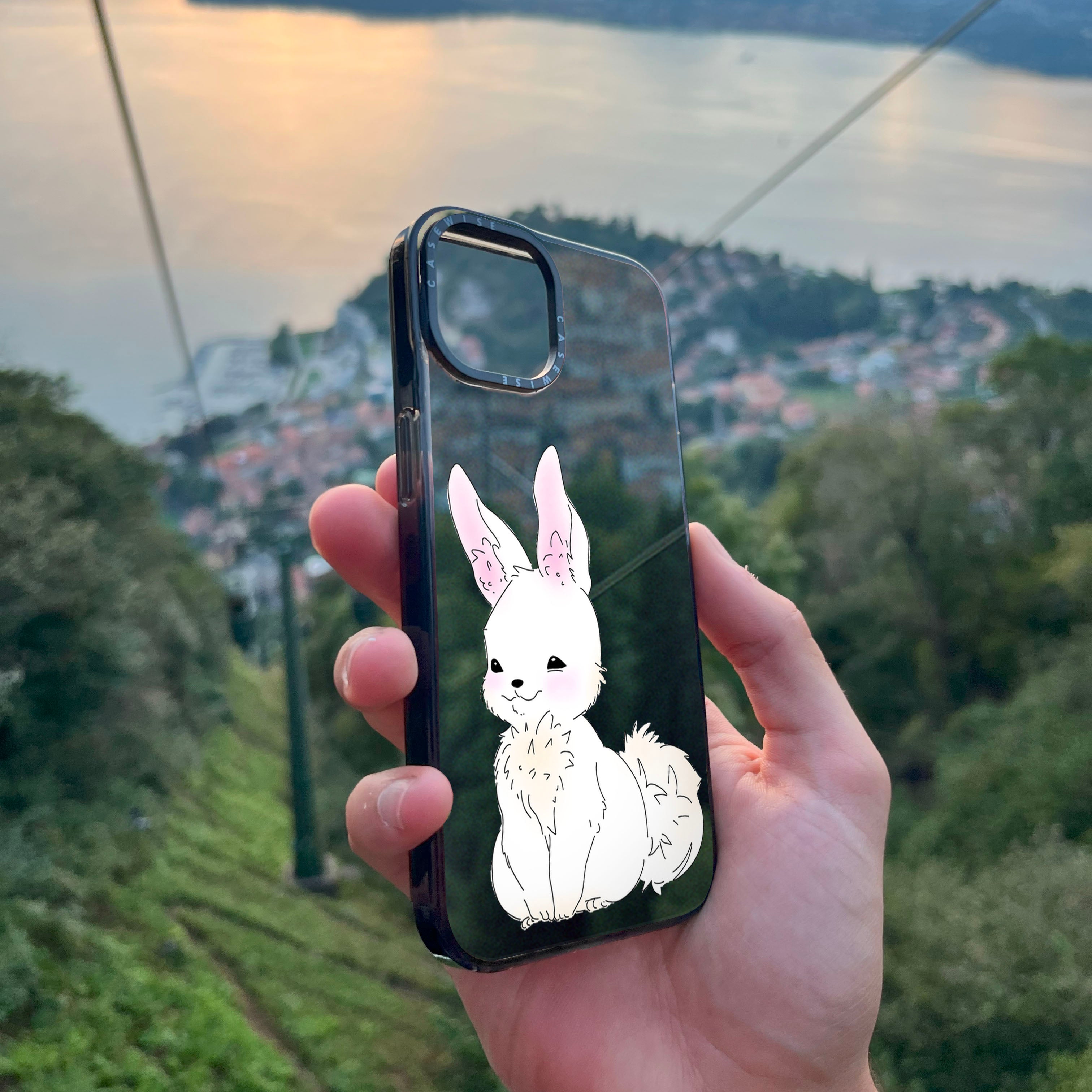 Hase - Hülle