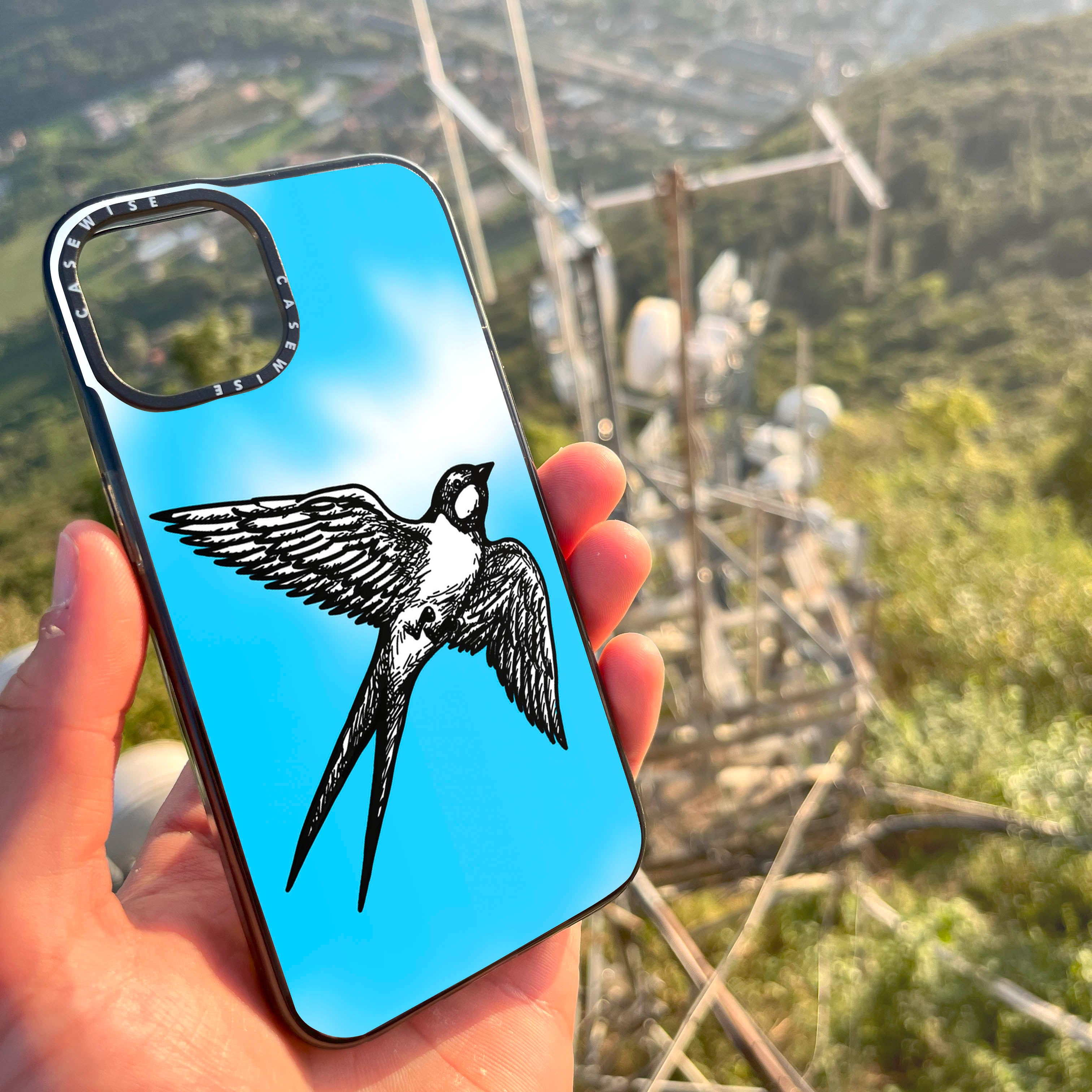 Czyżyk Swallow Bird - Hülle