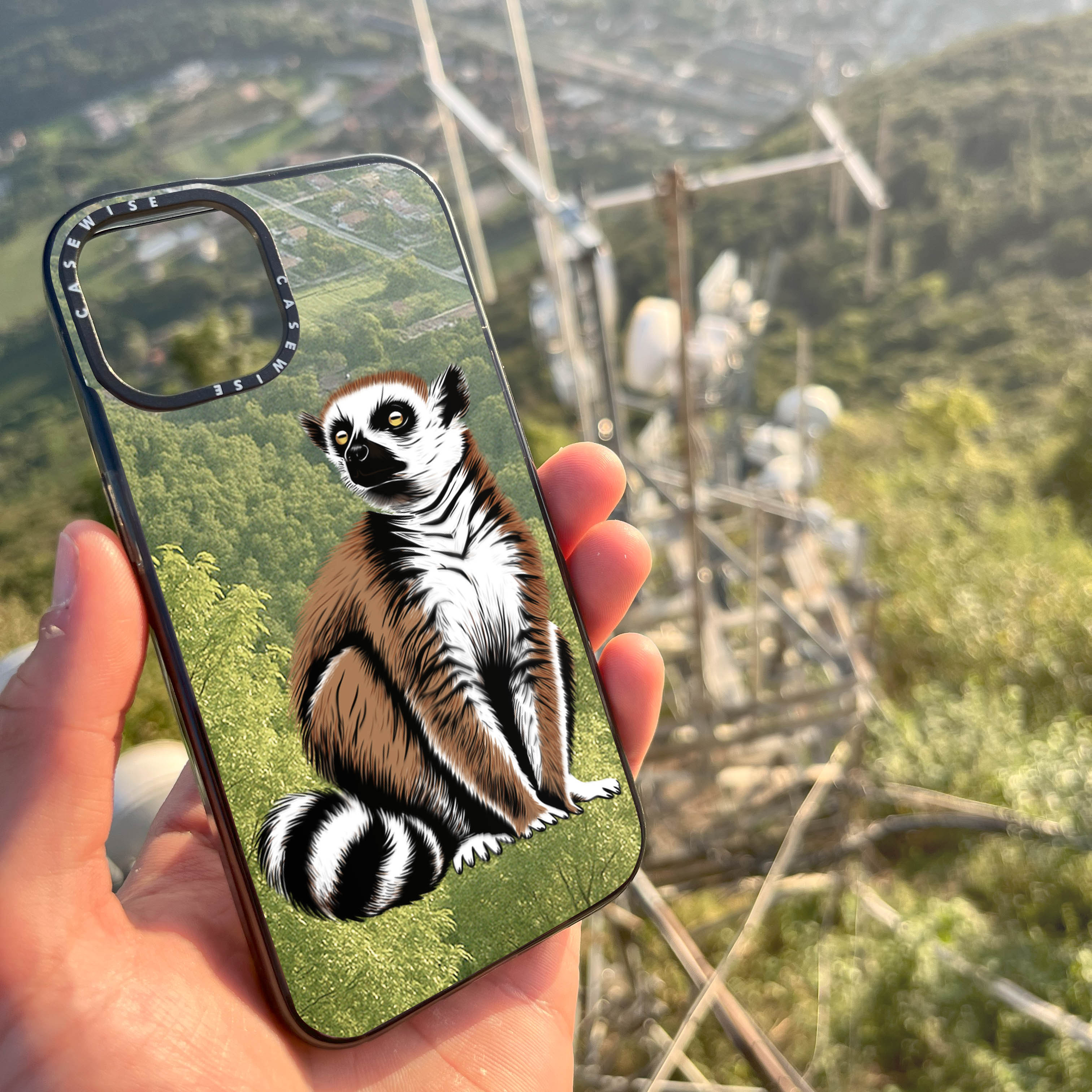 Lemur Coronasy - Hülle