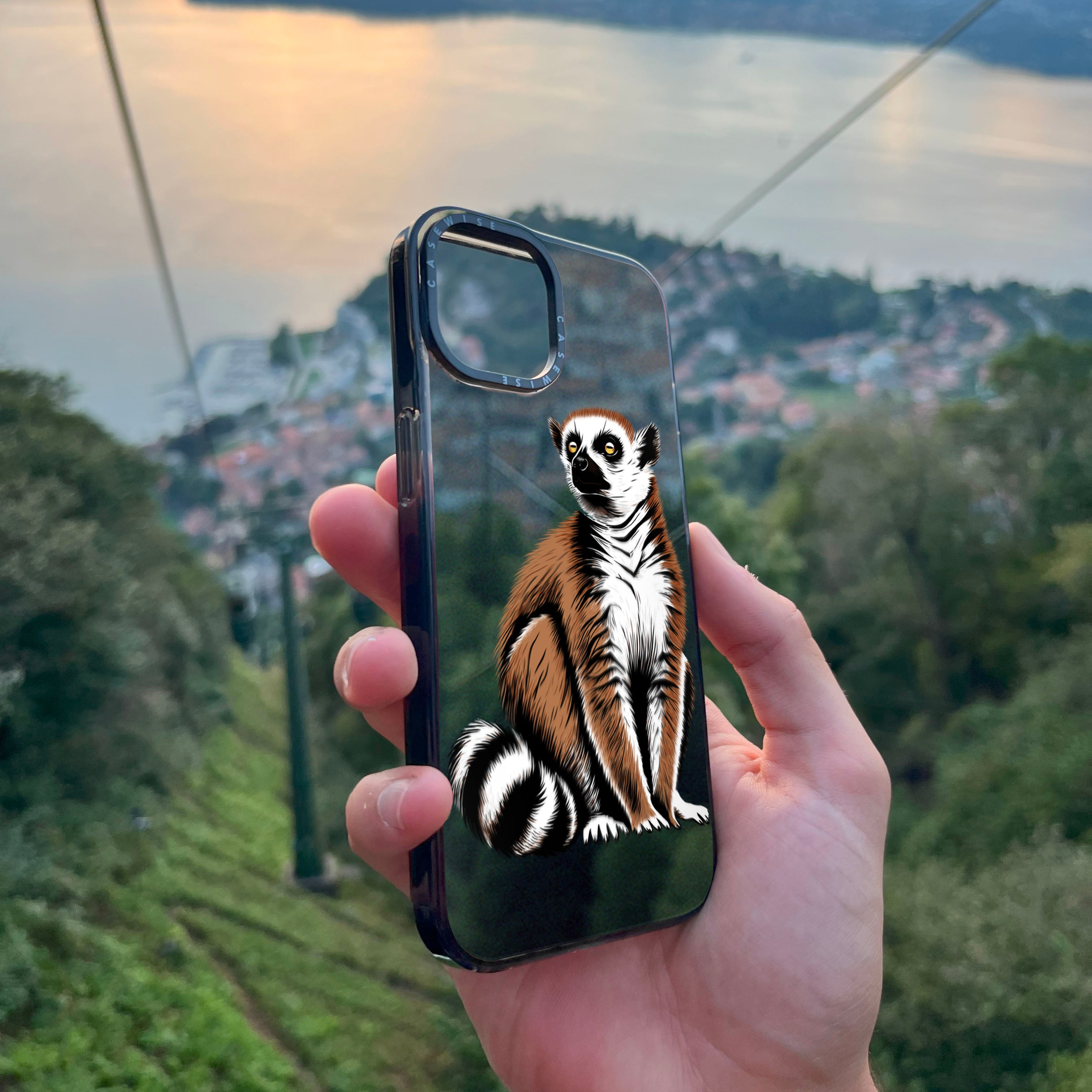 Lemur Coronasy - Hülle