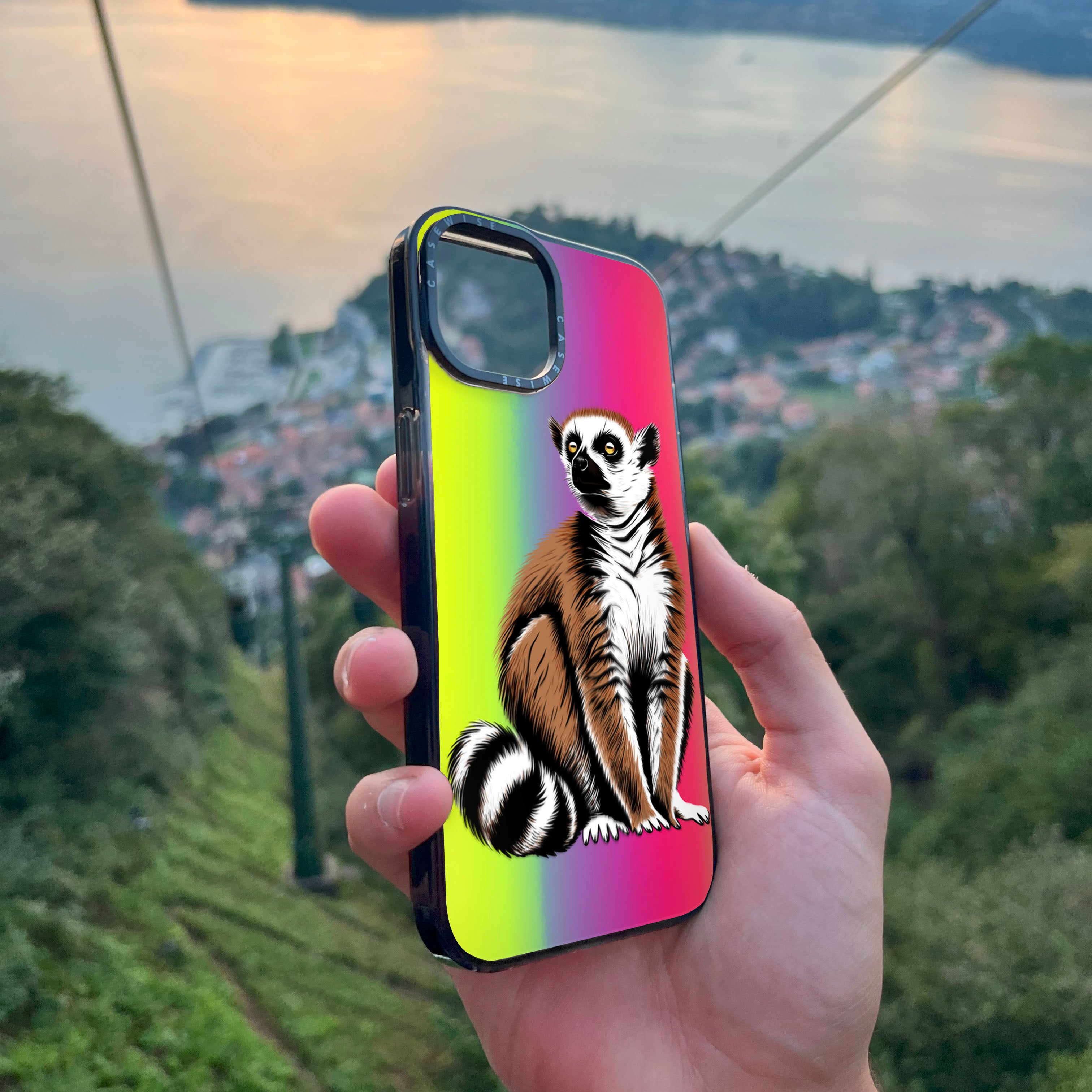 Lemur Coronasy 2 - Hülle