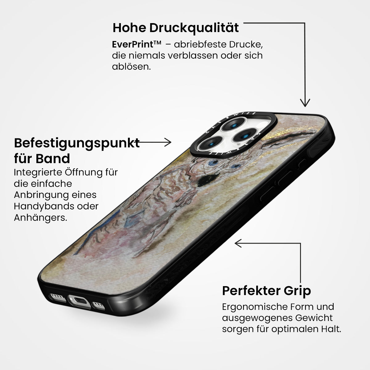Geheimnisvoller Spinx - Hülle