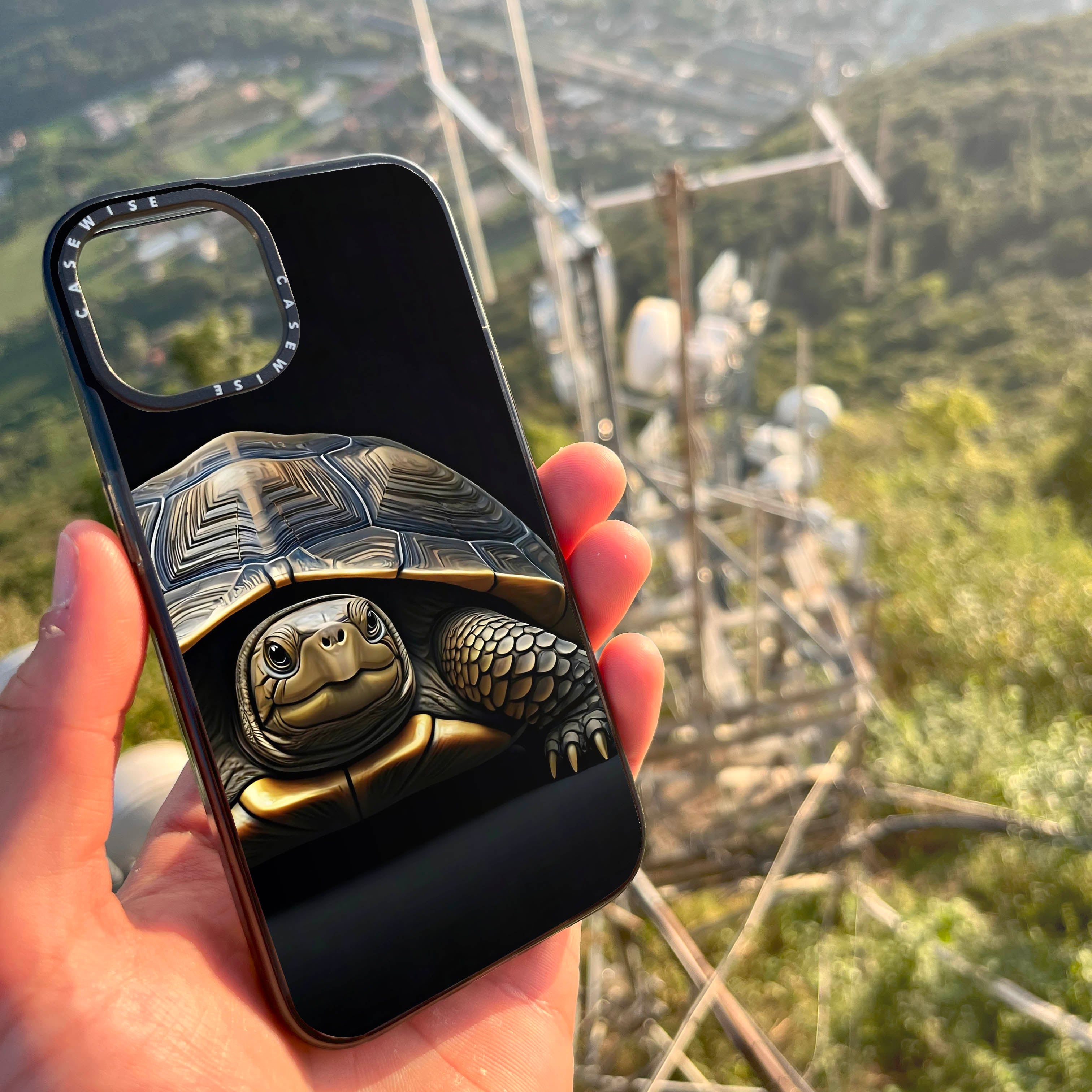 Schildkröte 1 - Hülle