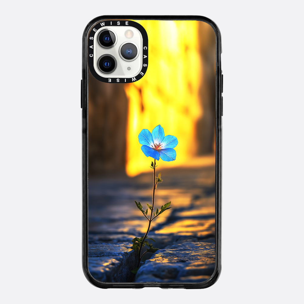 Überwindung der steinblauen Blume - Hülle