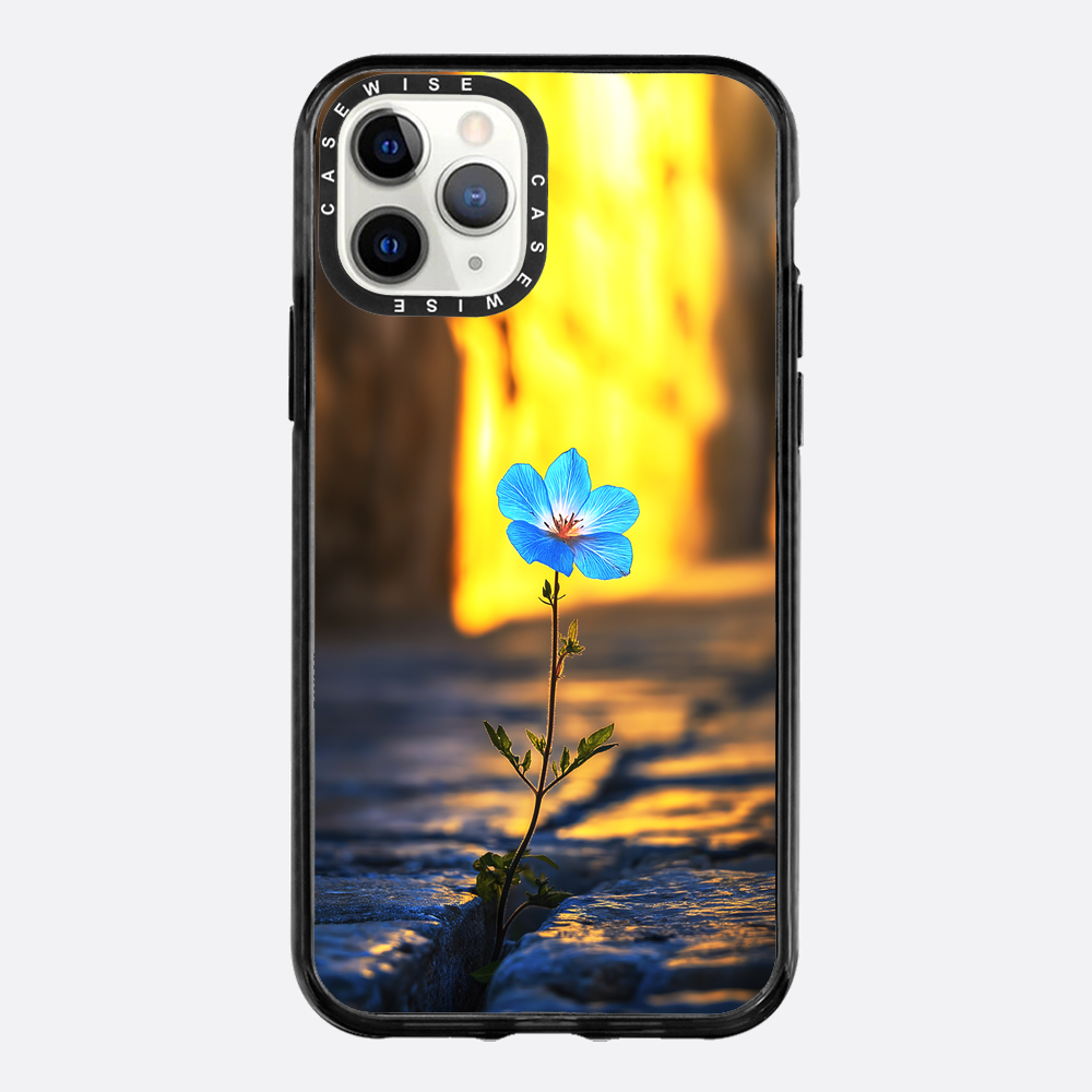 Überwindung der steinblauen Blume - Hülle