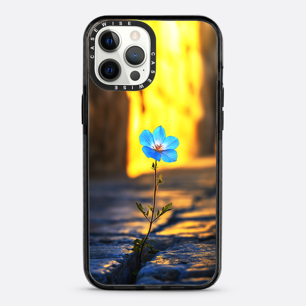 Überwindung der steinblauen Blume - Hülle