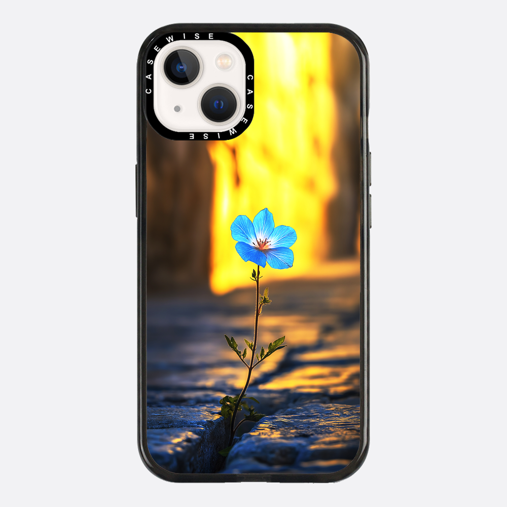 Überwindung der steinblauen Blume - Hülle