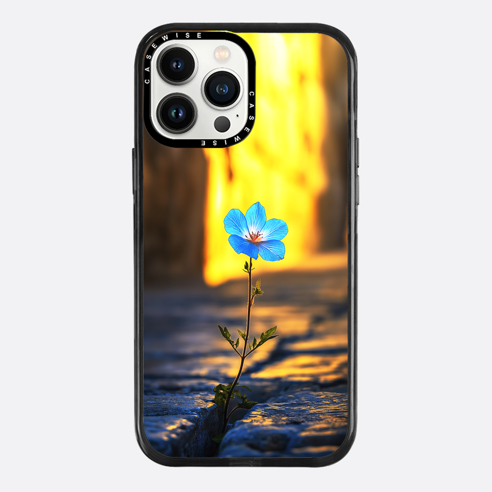 Überwindung der steinblauen Blume - Hülle