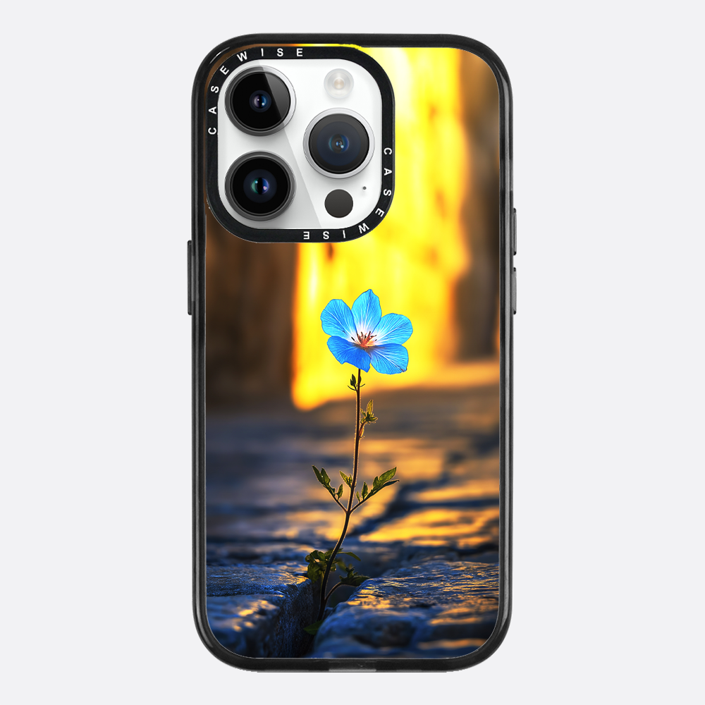 Überwindung der steinblauen Blume - Hülle