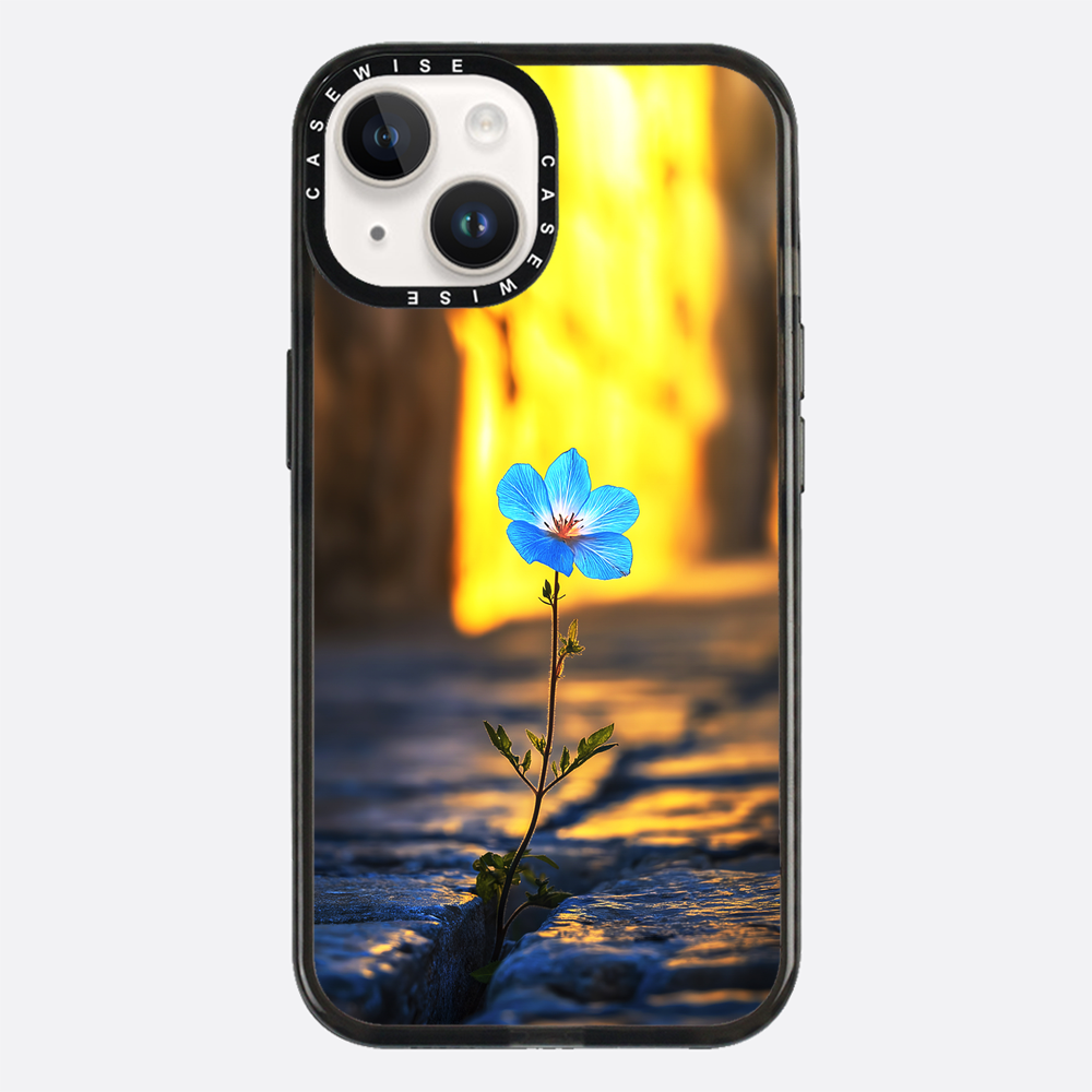 Überwindung der steinblauen Blume - Hülle