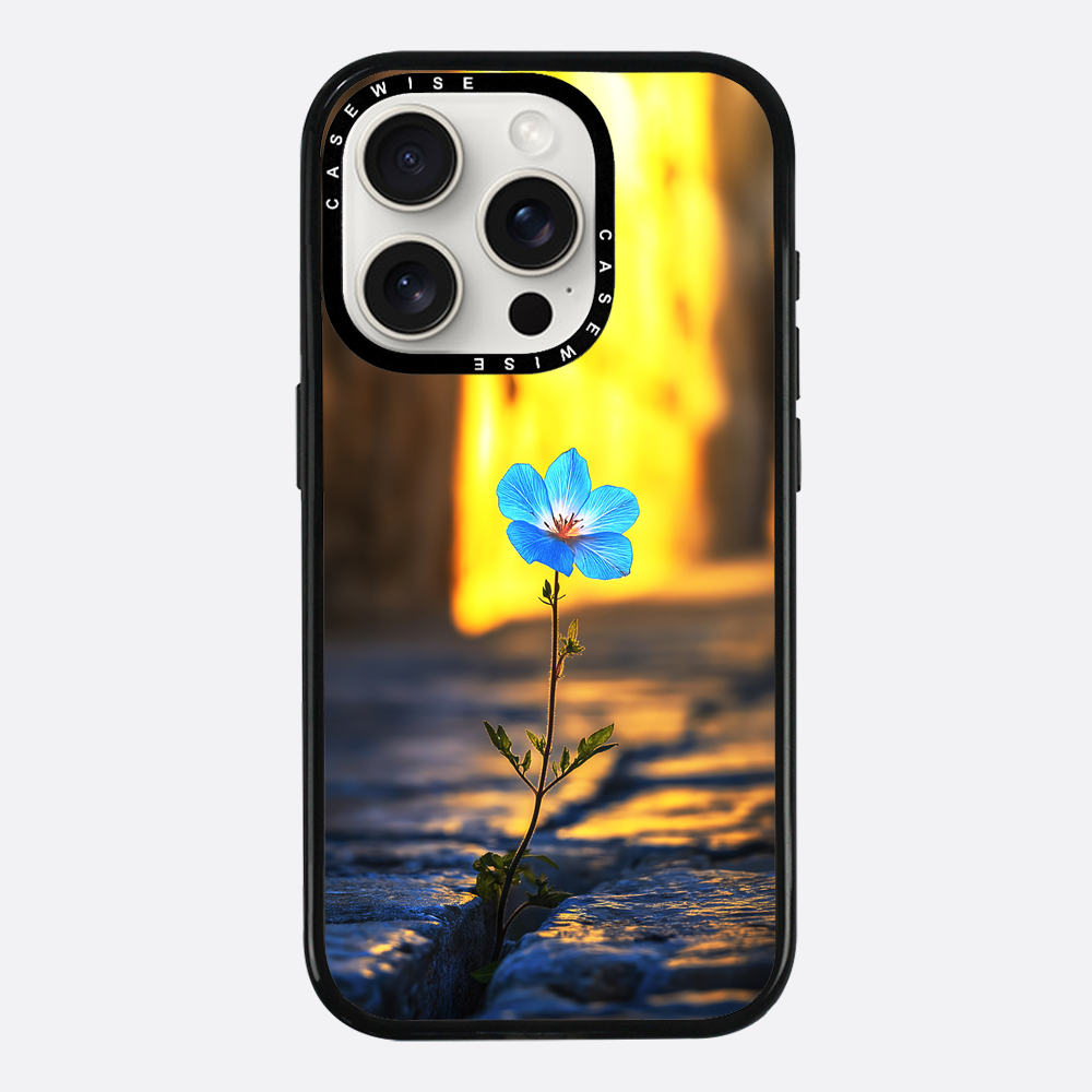 Überwindung der steinblauen Blume - Hülle