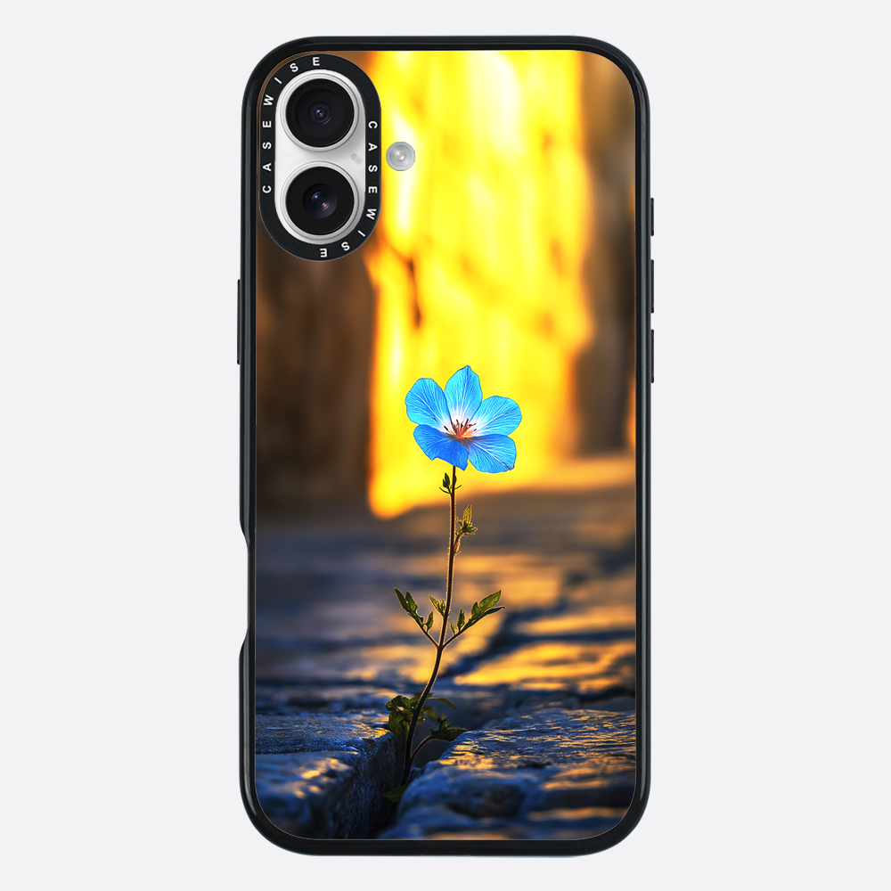 Überwindung der steinblauen Blume - Hülle