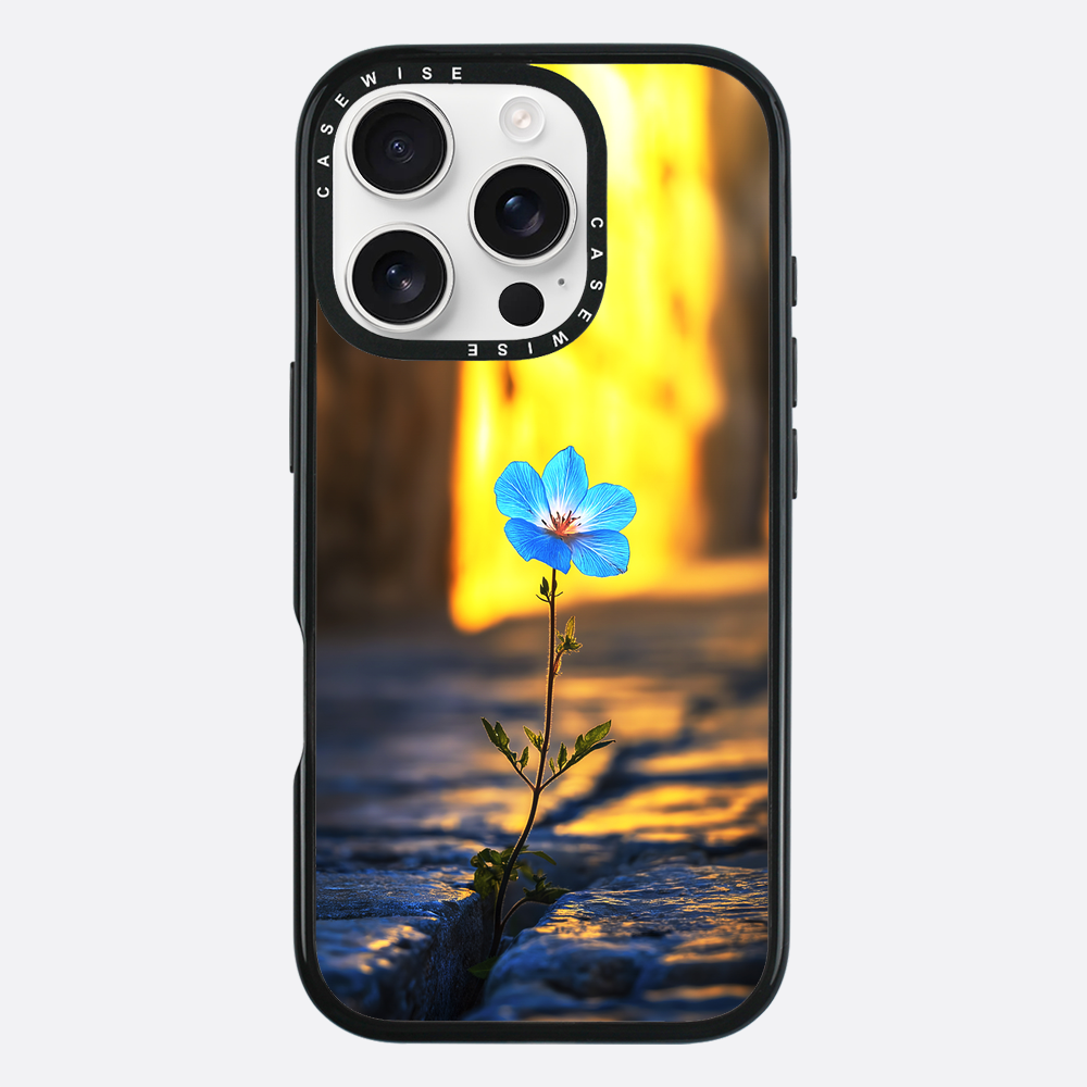 Überwindung der steinblauen Blume - Hülle