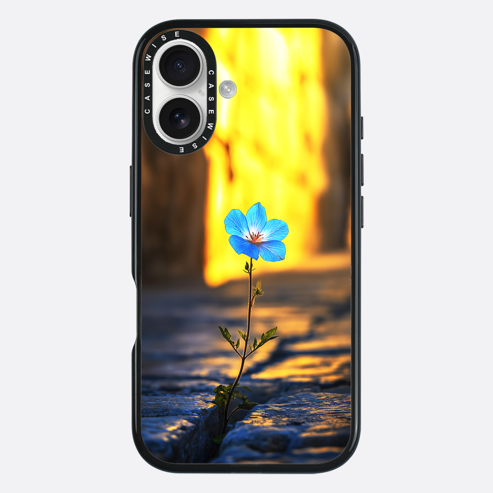 Überwindung der steinblauen Blume - Hülle