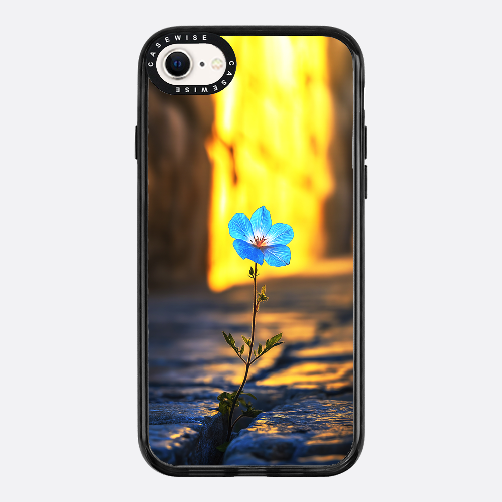 Überwindung der steinblauen Blume - Hülle