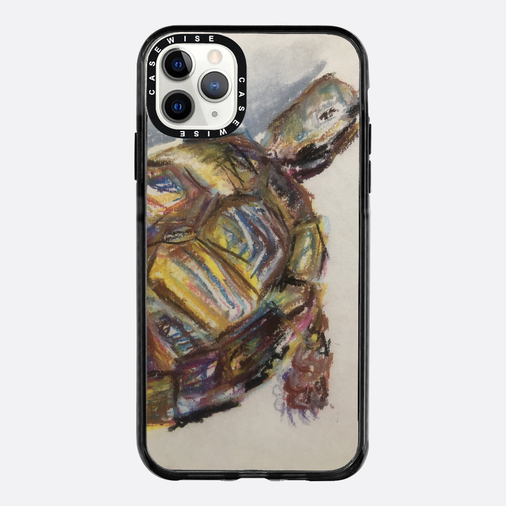 Schildkröte spontanes Schildkröte - Hülle