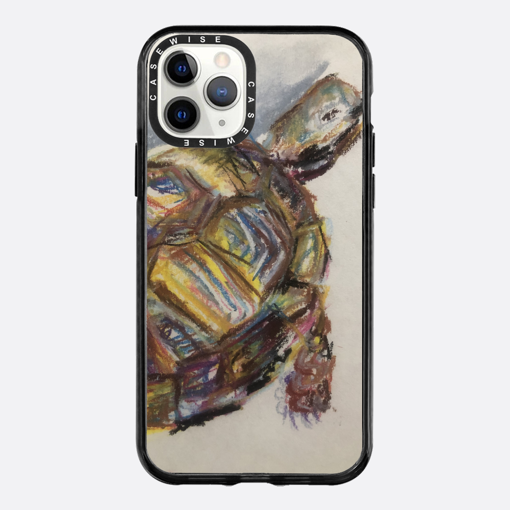 Schildkröte spontanes Schildkröte - Hülle