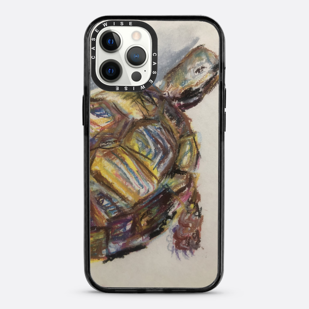 Schildkröte spontanes Schildkröte - Hülle