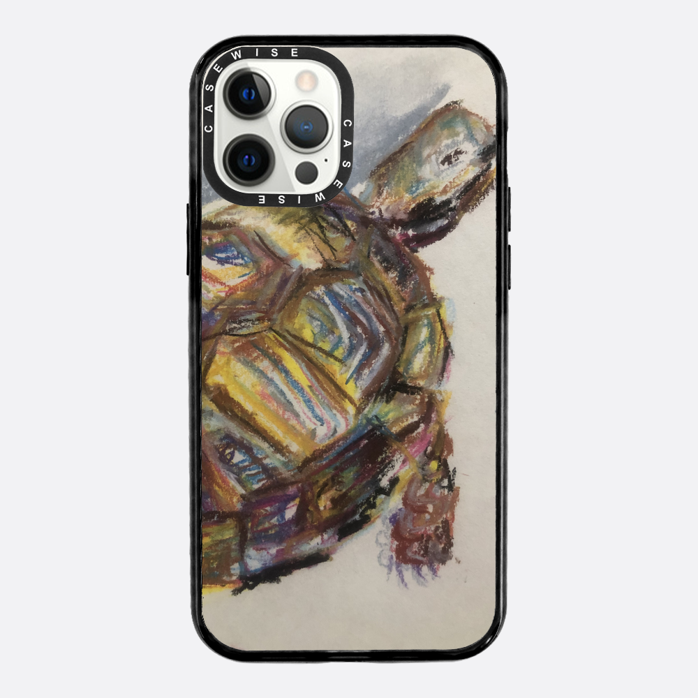 Schildkröte spontanes Schildkröte - Hülle