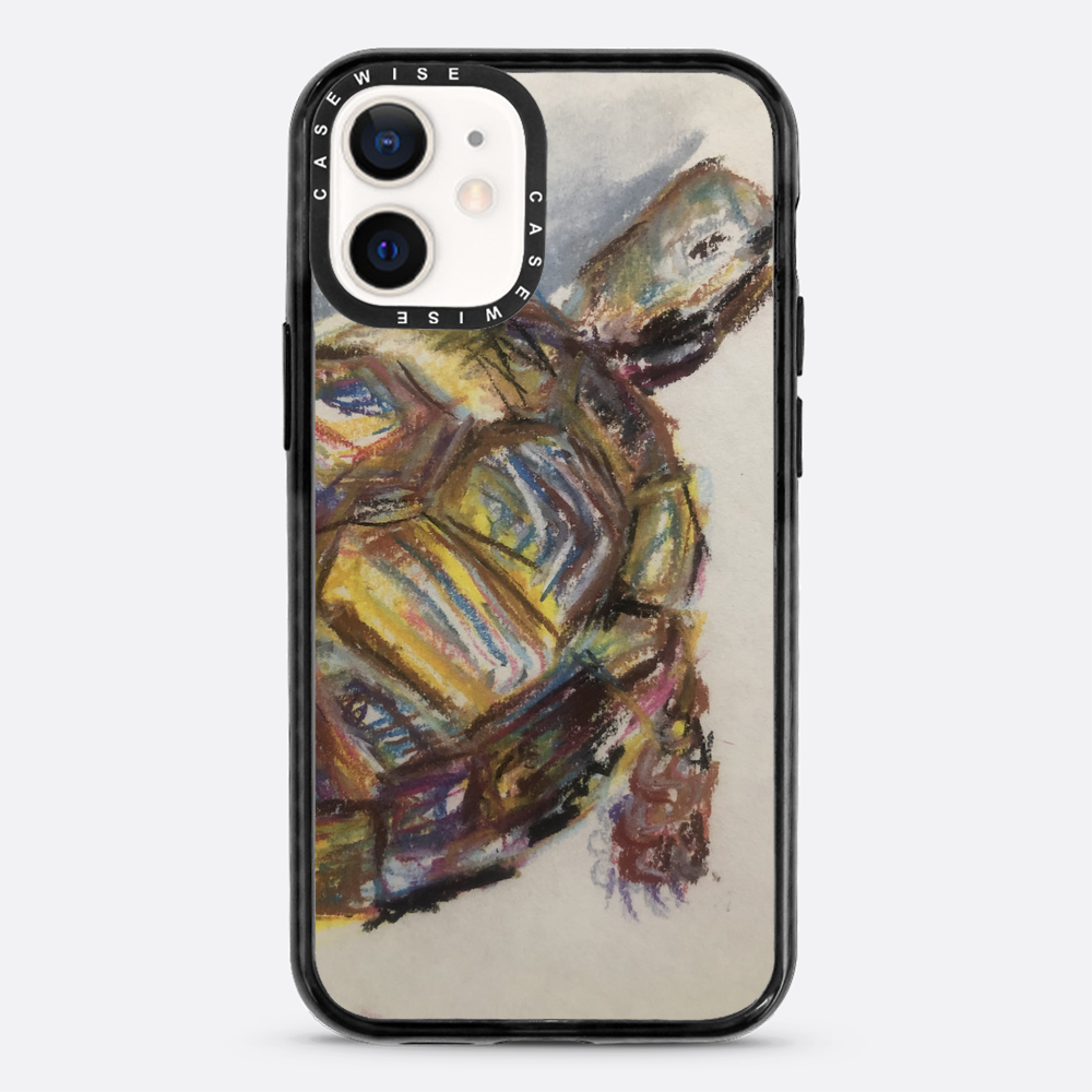 Schildkröte spontanes Schildkröte - Hülle
