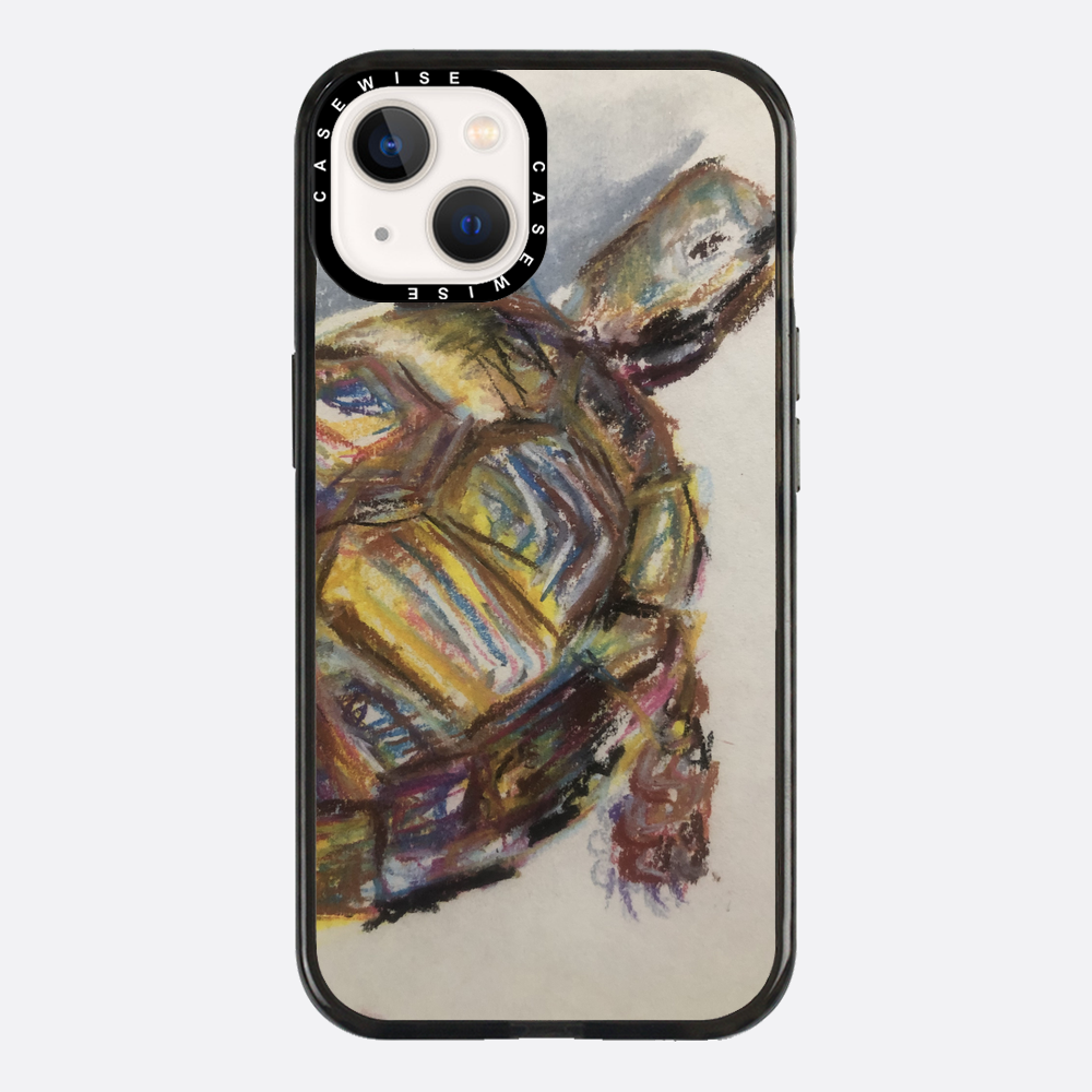 Schildkröte spontanes Schildkröte - Hülle