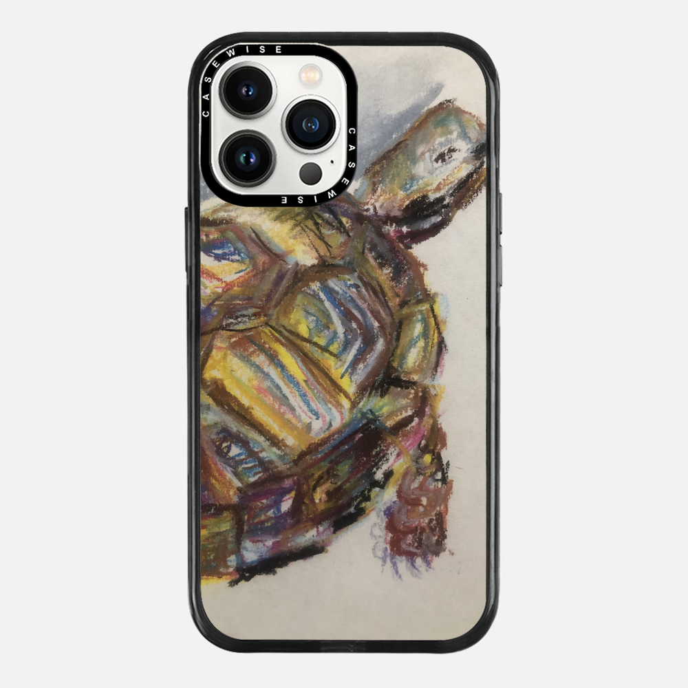 Schildkröte spontanes Schildkröte - Hülle
