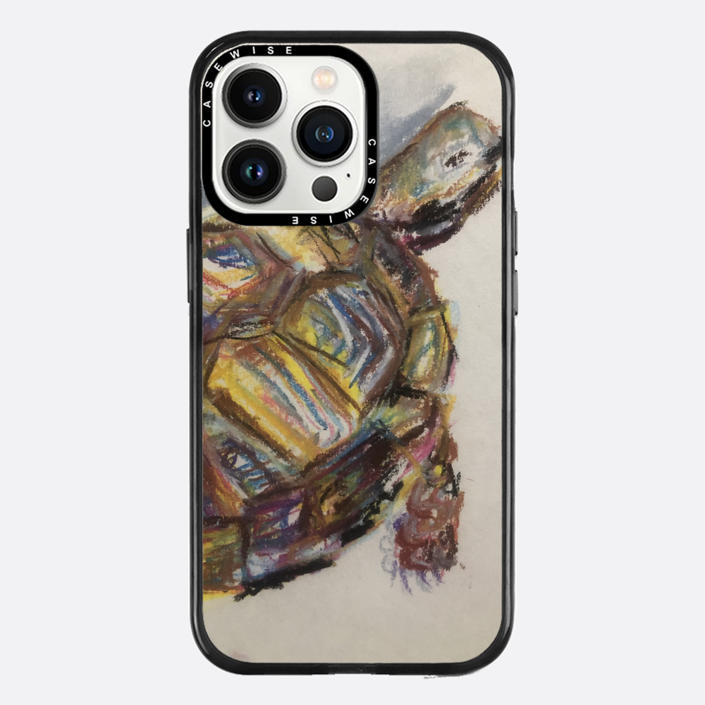 Schildkröte spontanes Schildkröte - Hülle