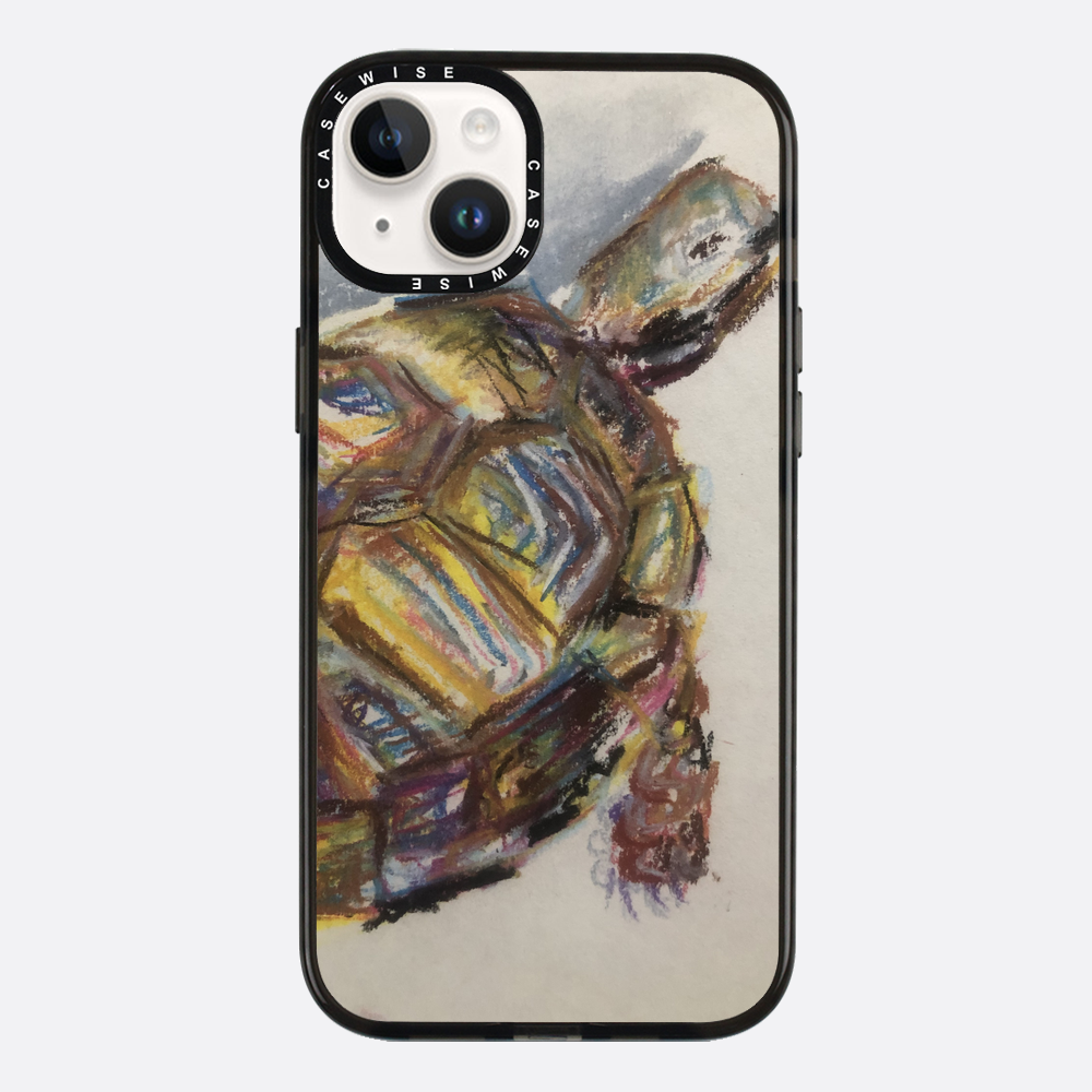 Schildkröte spontanes Schildkröte - Hülle