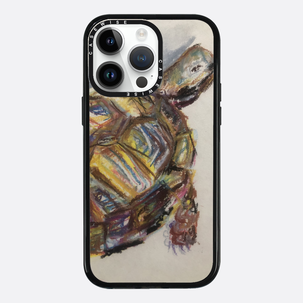 Schildkröte spontanes Schildkröte - Hülle