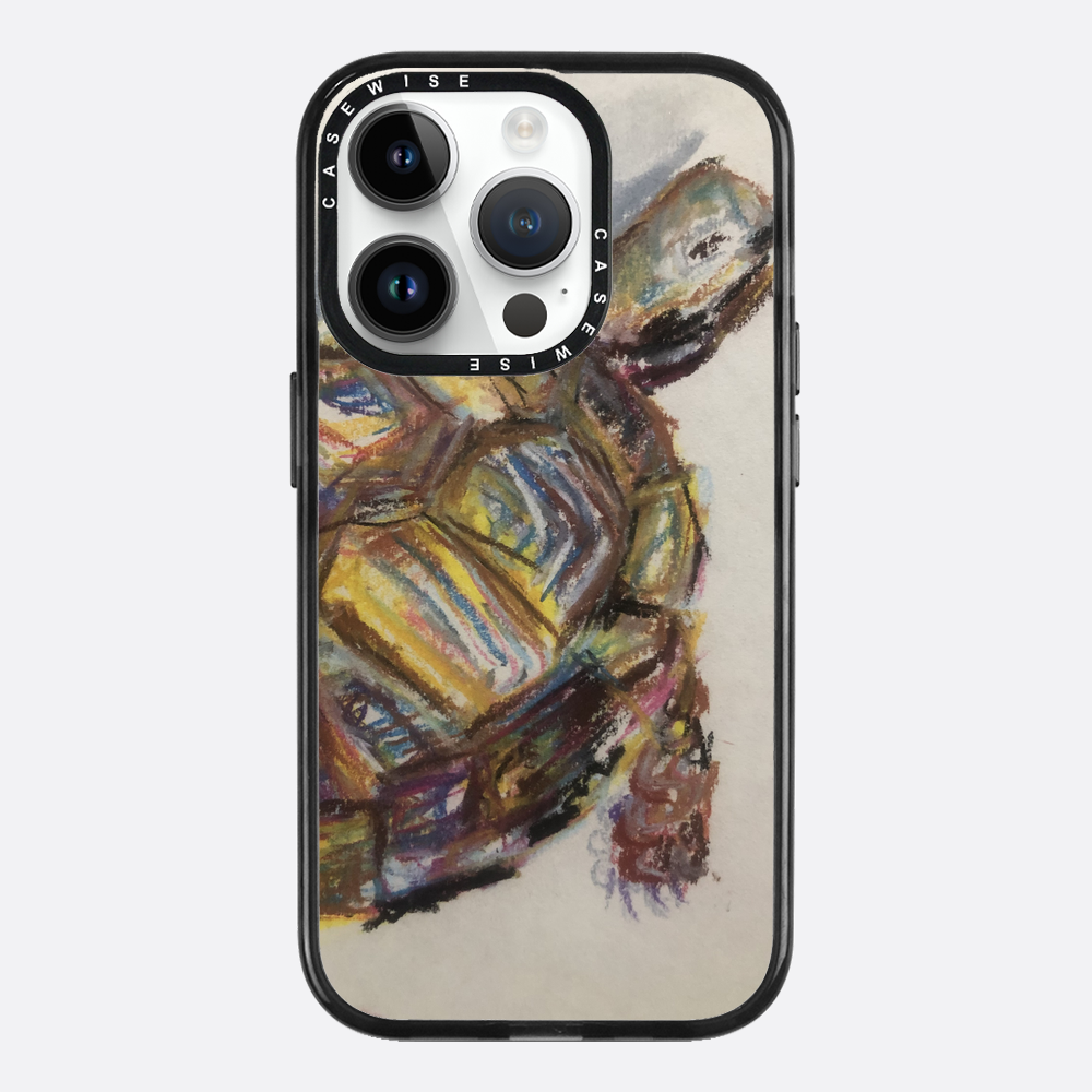Schildkröte spontanes Schildkröte - Hülle