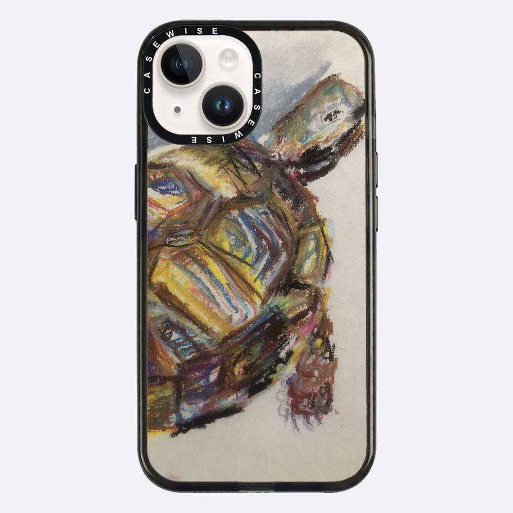 Schildkröte spontanes Schildkröte - Hülle