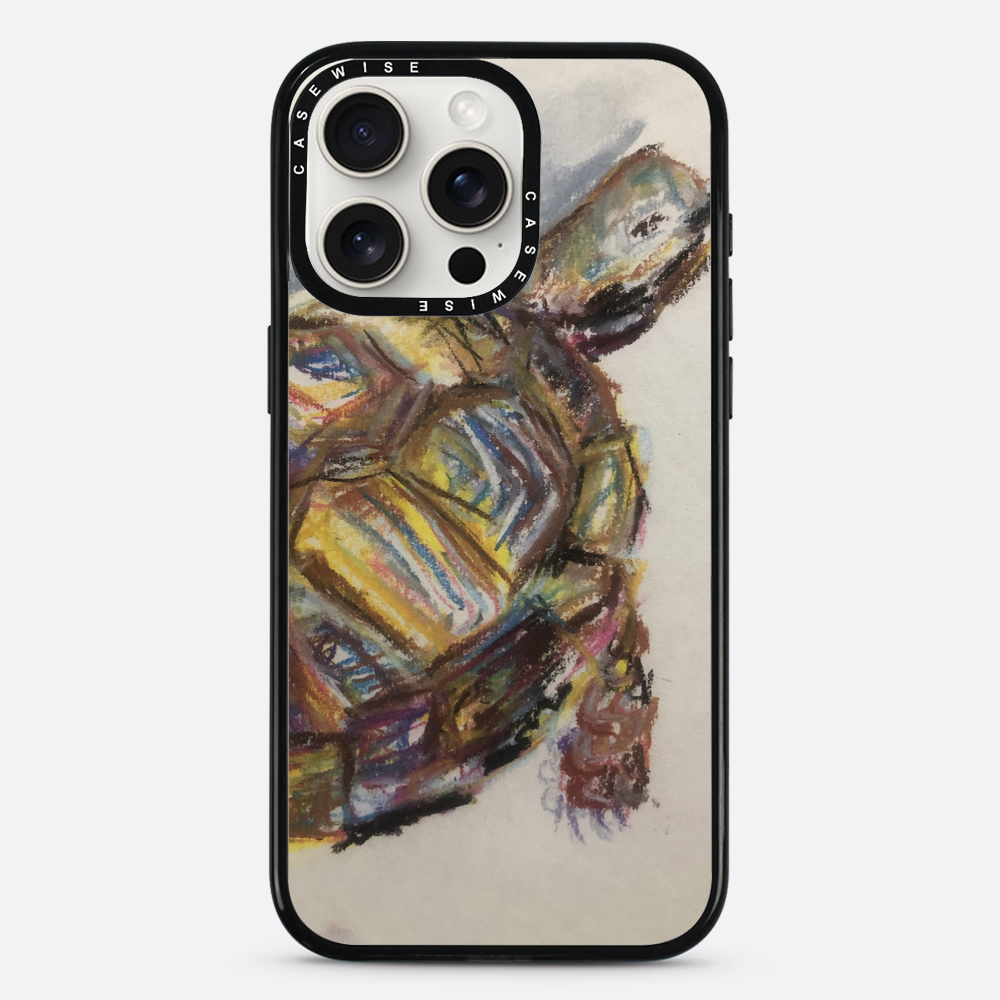 Schildkröte spontanes Schildkröte - Hülle