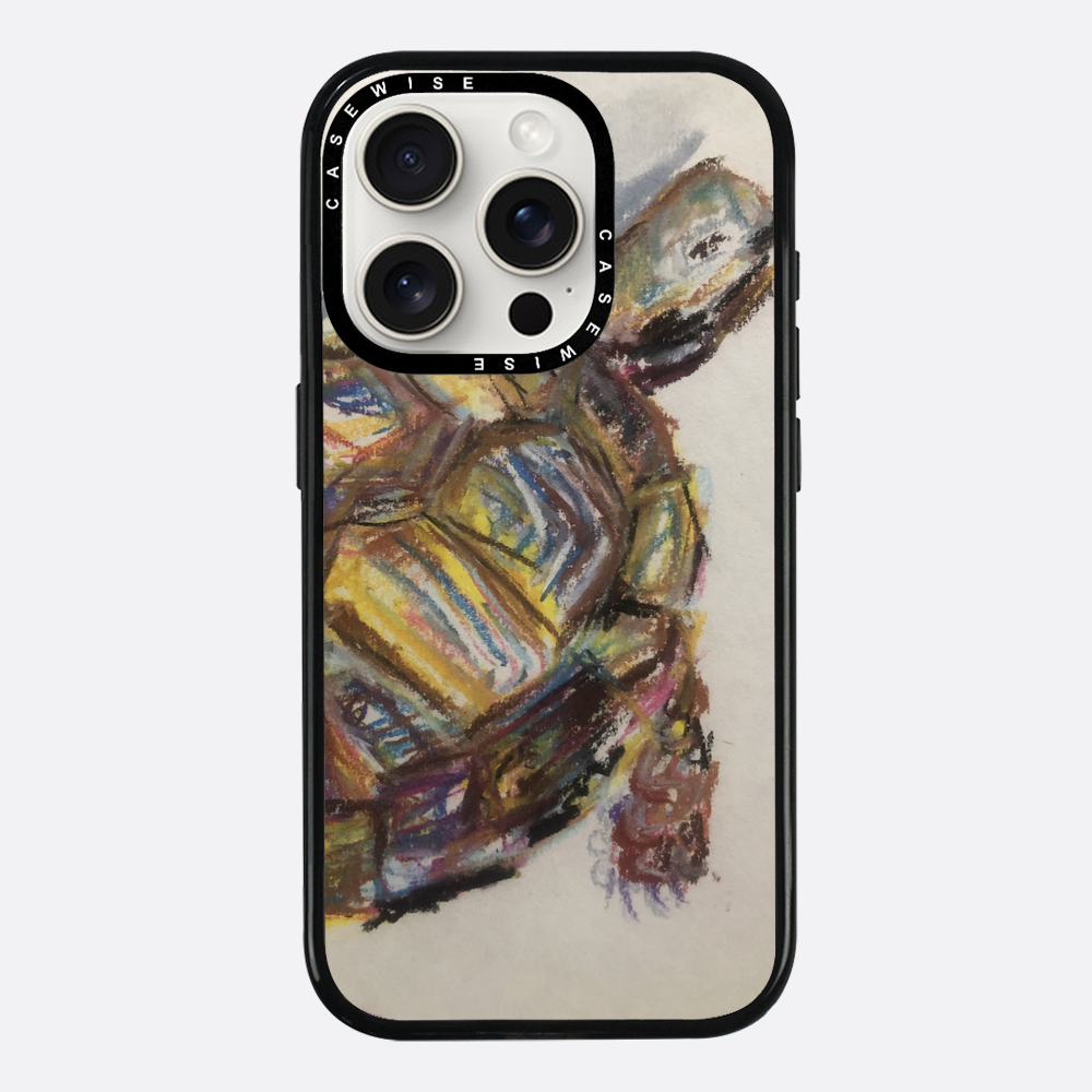 Schildkröte spontanes Schildkröte - Hülle