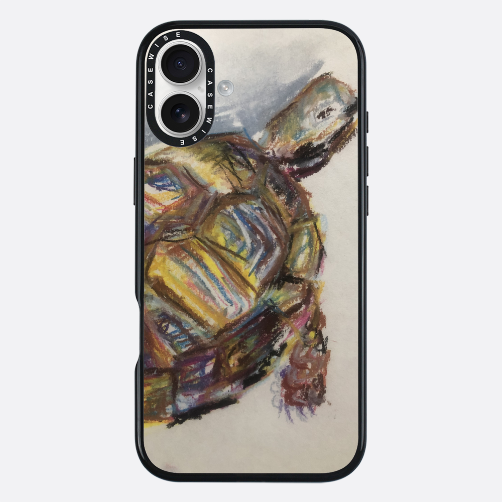 Schildkröte spontanes Schildkröte - Hülle
