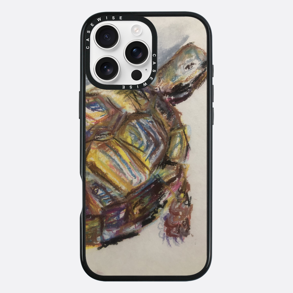 Schildkröte spontanes Schildkröte - Hülle