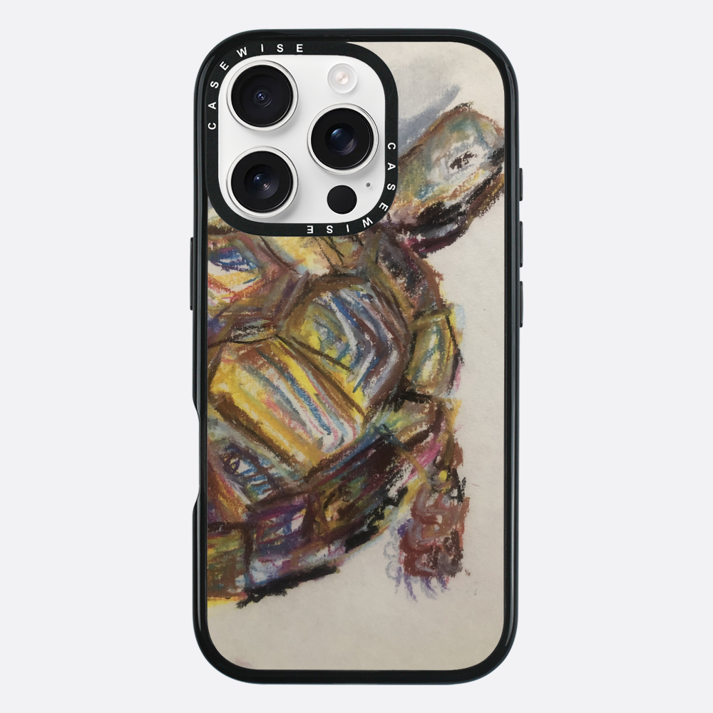 Schildkröte spontanes Schildkröte - Hülle