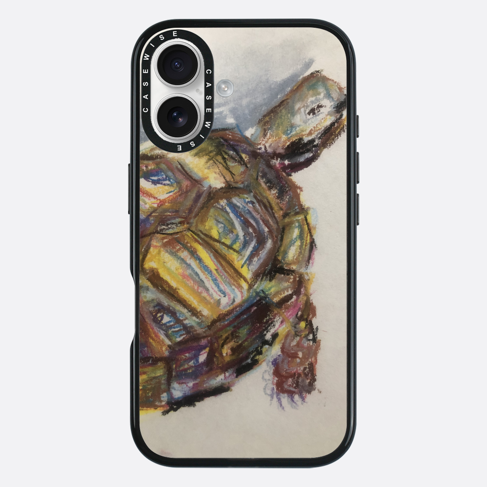 Schildkröte spontanes Schildkröte - Hülle