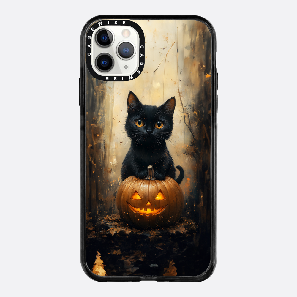 Schwarze Kürbiskatze - Hülle