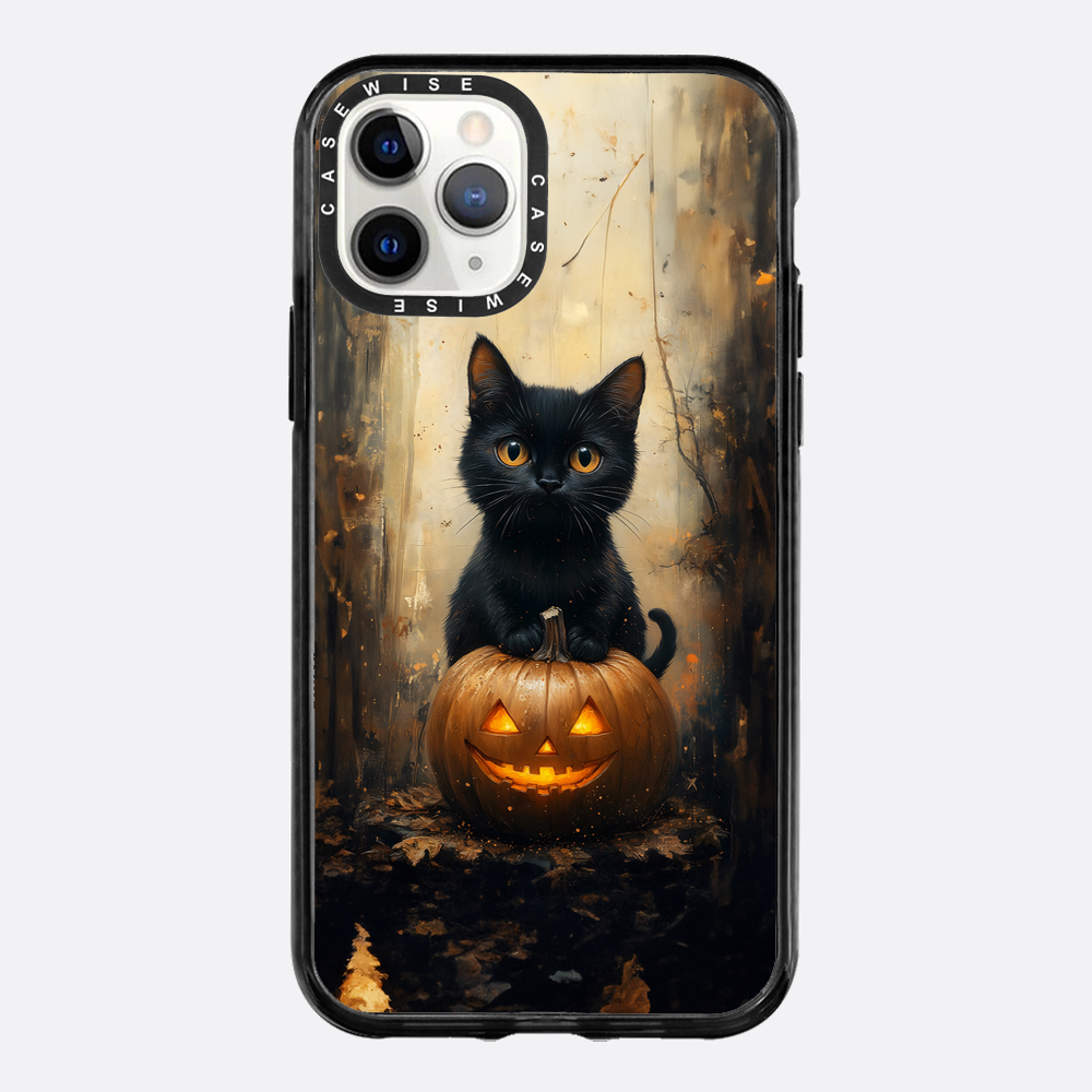 Schwarze Kürbiskatze - Hülle