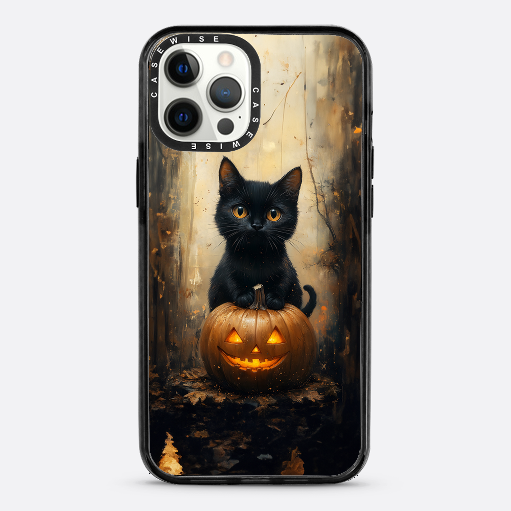 Schwarze Kürbiskatze - Hülle