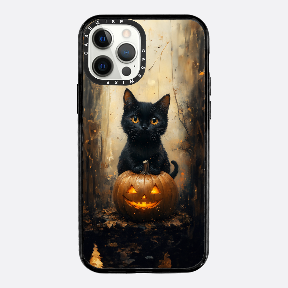 Schwarze Kürbiskatze - Hülle