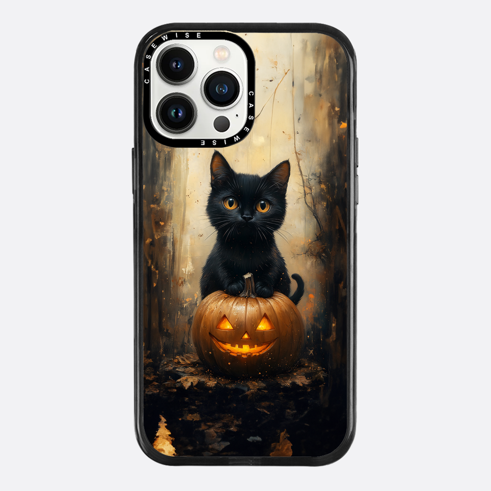 Schwarze Kürbiskatze - Hülle