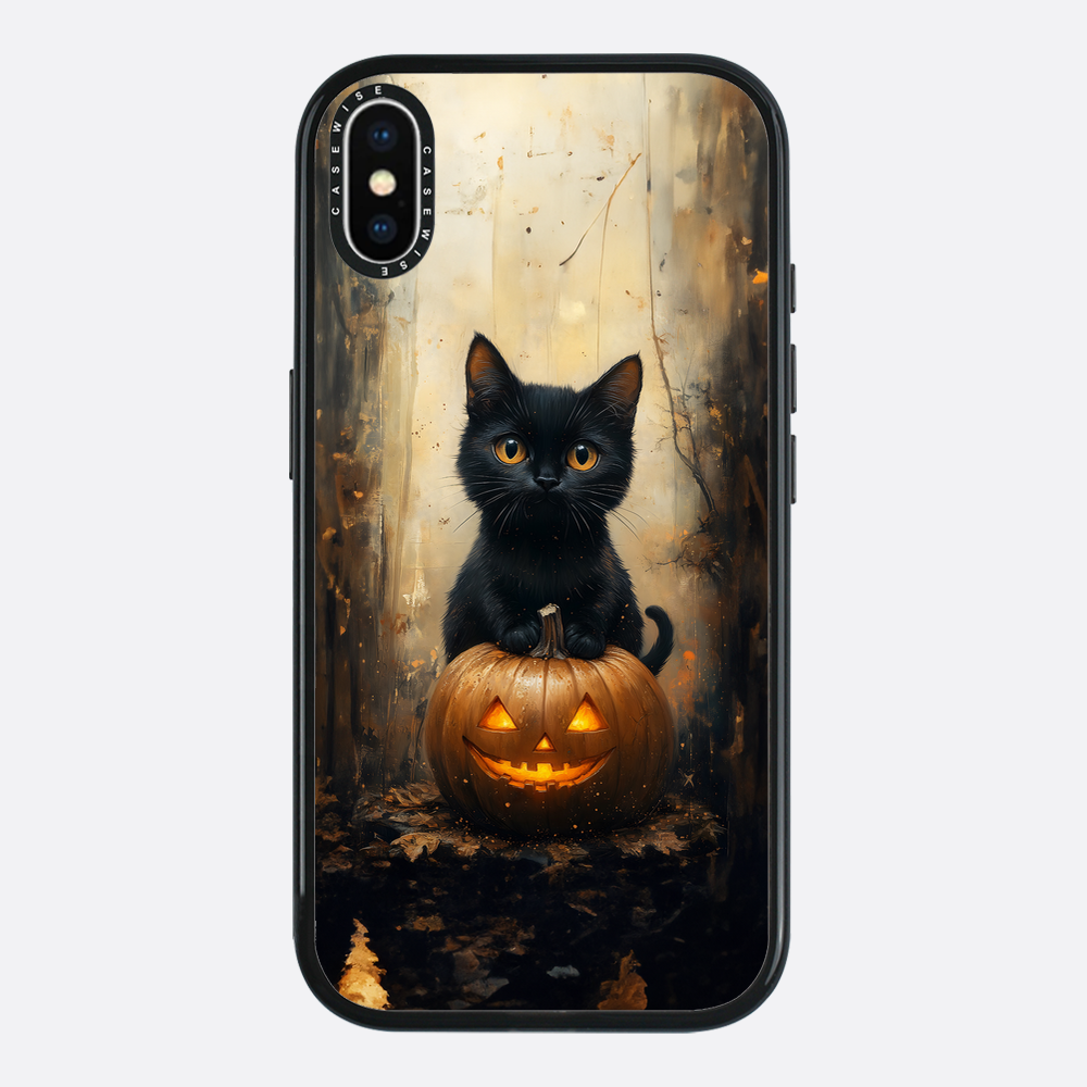 Schwarze Kürbiskatze - Hülle