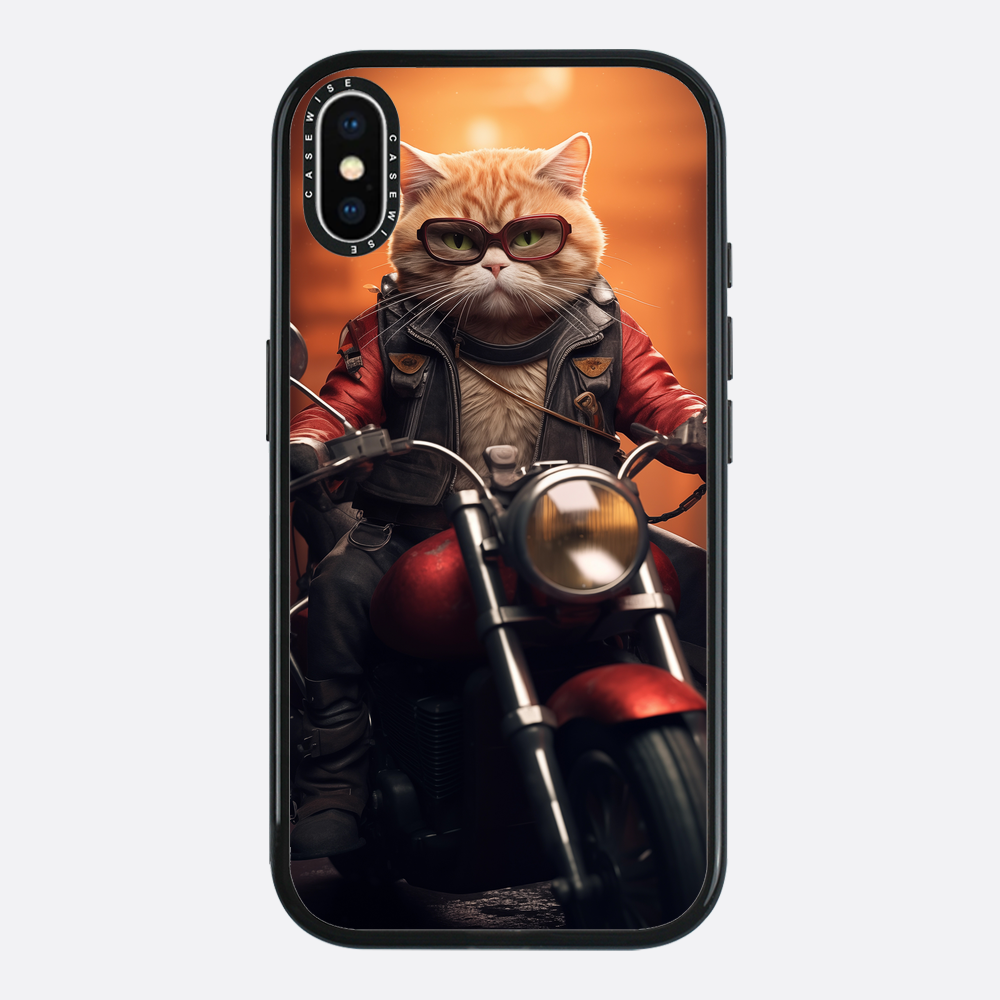 Katzenmotorrad - Hülle