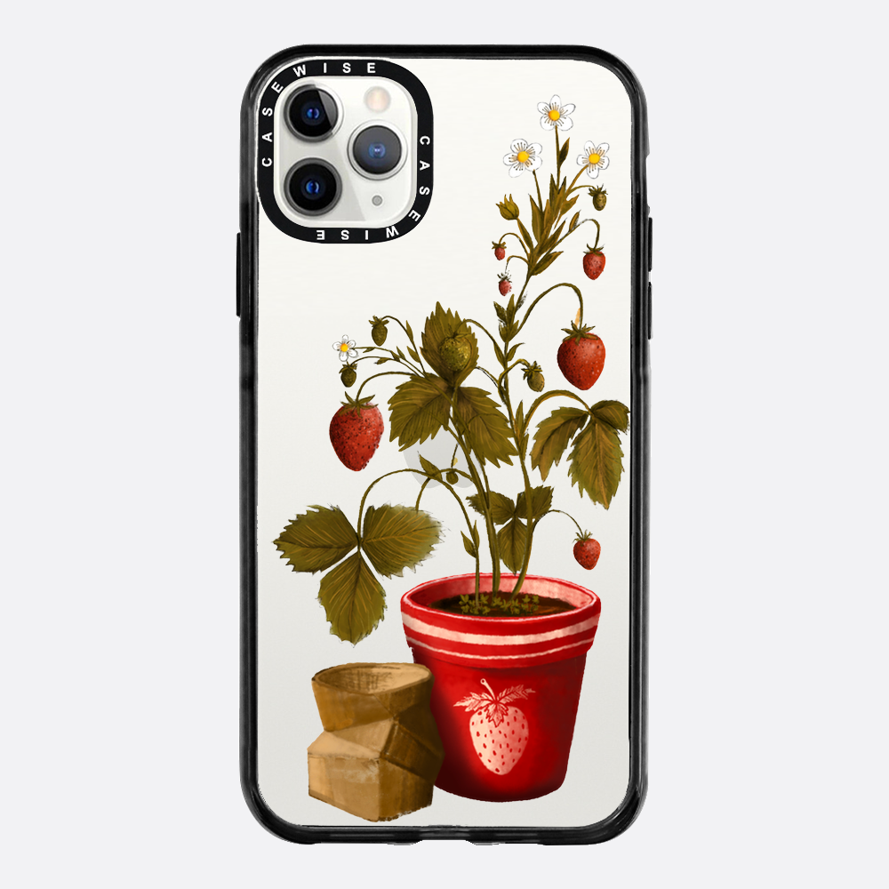 Erdbeeren in einem Topf - Hülle