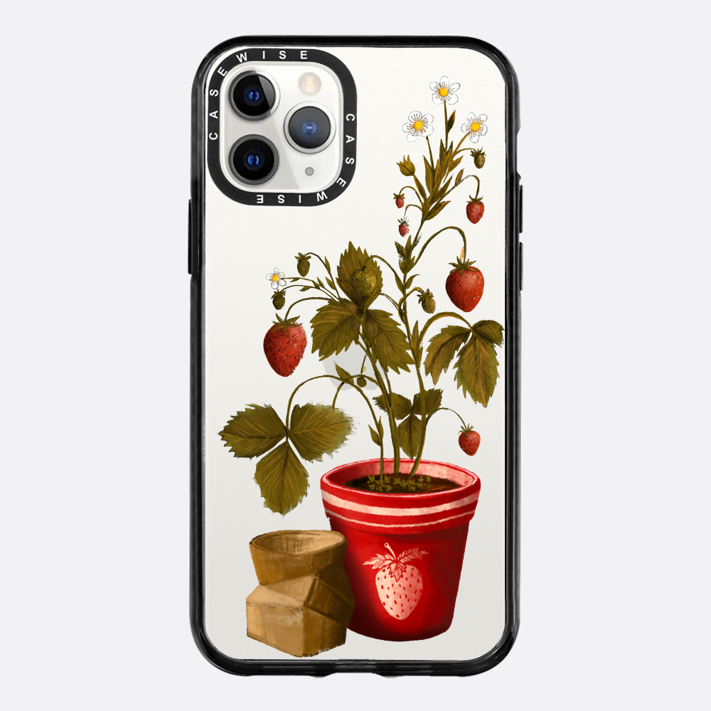 Erdbeeren in einem Topf - Hülle