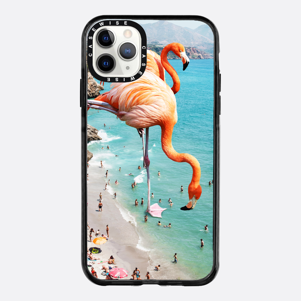 Flamingos auf Th - Hülle